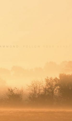 Hammond Follow your heart