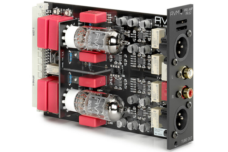 AVM Ovation PA 8.2 | The Ear