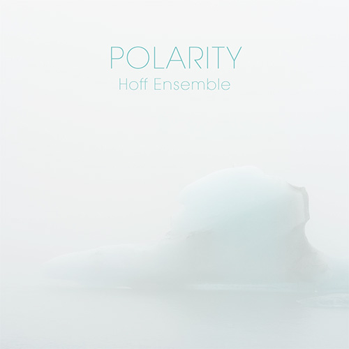 Hoff-Ensemble-Polarity