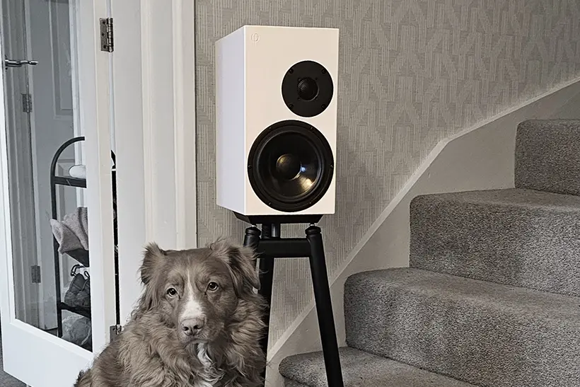 Ascendance 2 upsets the Oephi speaker applecart 3 Oephi Ascendance 2 speaker review https://the-ear.net